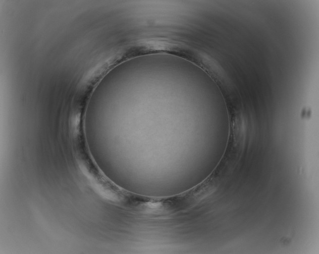 X0000113040406200908271511