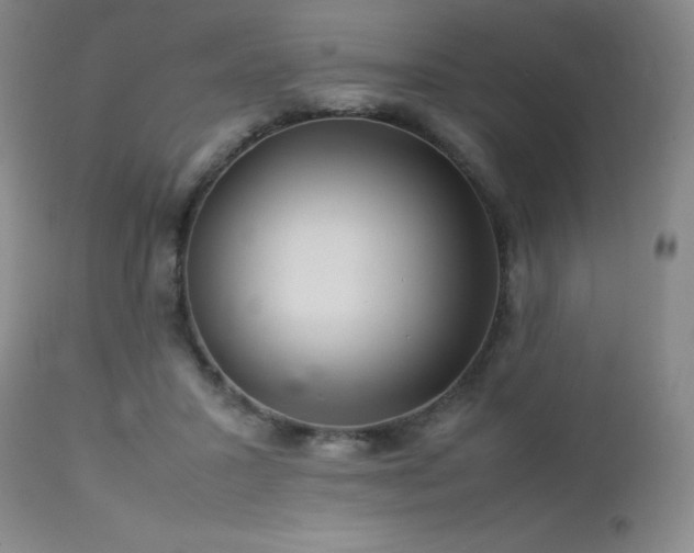 X0000113040407200908271510