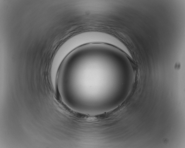 X0000113040409200908271510