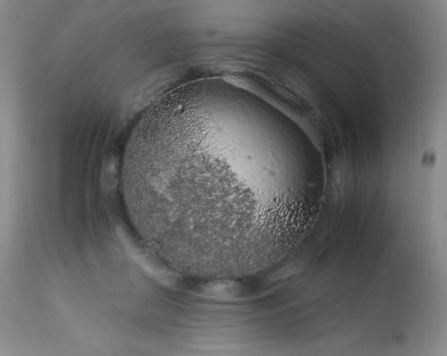 X0000113040410200908271510