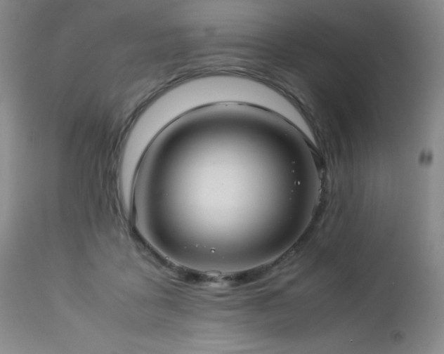 X0000113040411200908271510