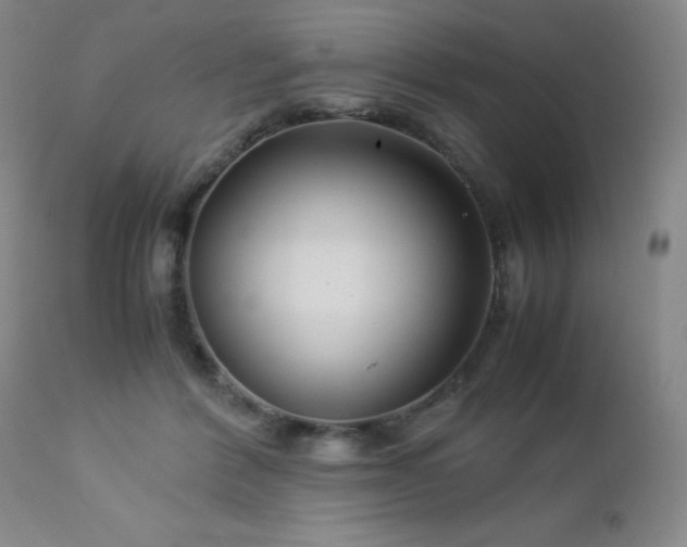 X0000113040412200908271510