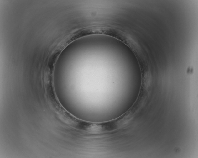 X0000113040413200908271510
