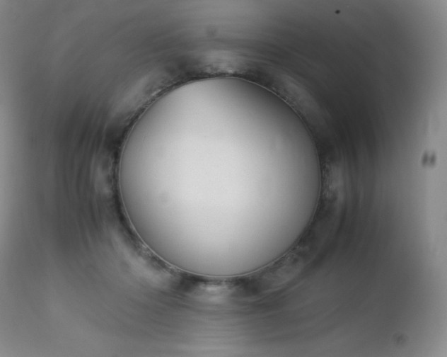 X0000113040414200908271510