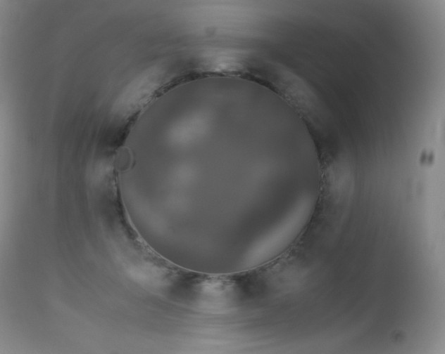 X0000113040415200908271510