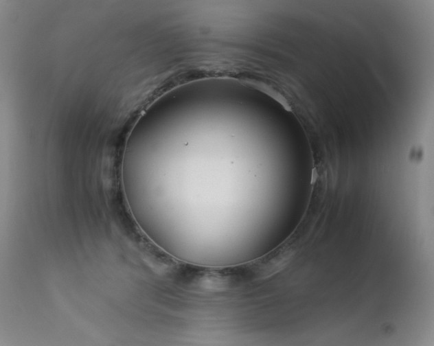 X0000113040416200908271510