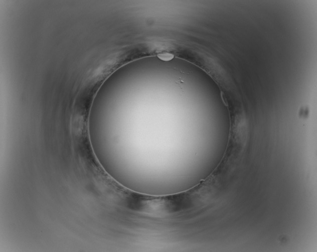 X0000113040417200908271510