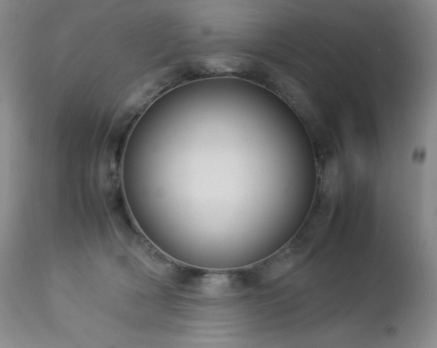 X0000113040418200908271510