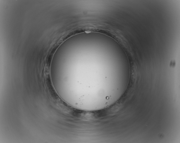 X0000113040419200908271510