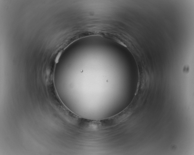 X0000113040420200908271510