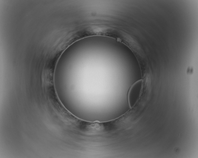 X0000113040421200908271510