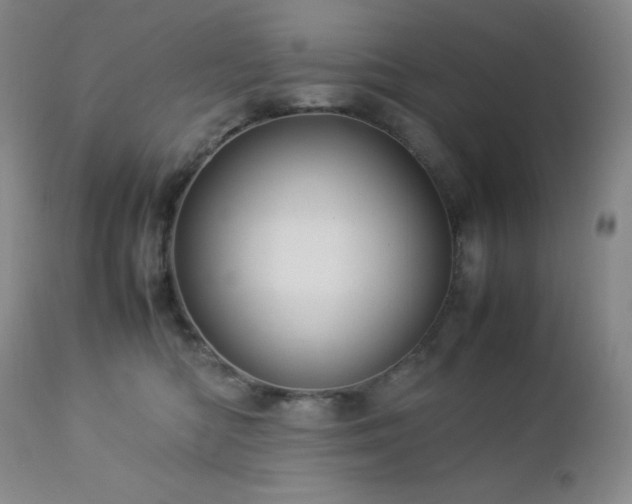 X0000113040422200908271510