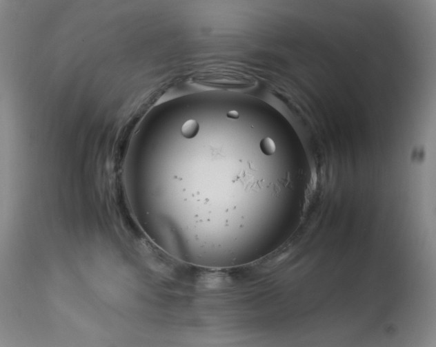 X0000113040424200908271510