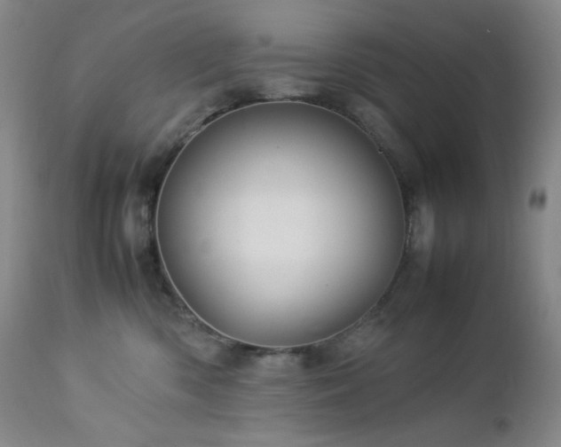 X0000113040426200908271510