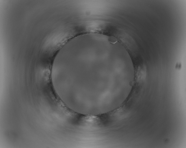 X0000113040427200908271510