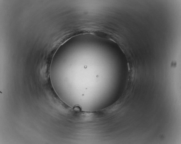 X0000113040428200908271510