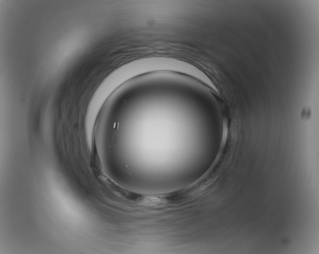 X0000113040429200908271510