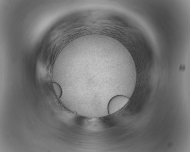 X0000113040431200908271510