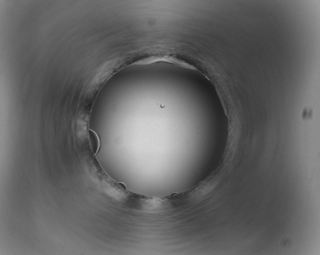 X0000113040432200908271510