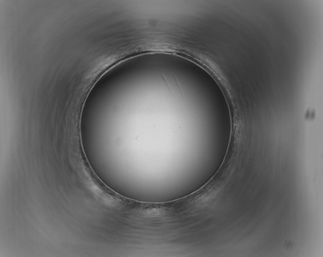 X0000113040433200908271509