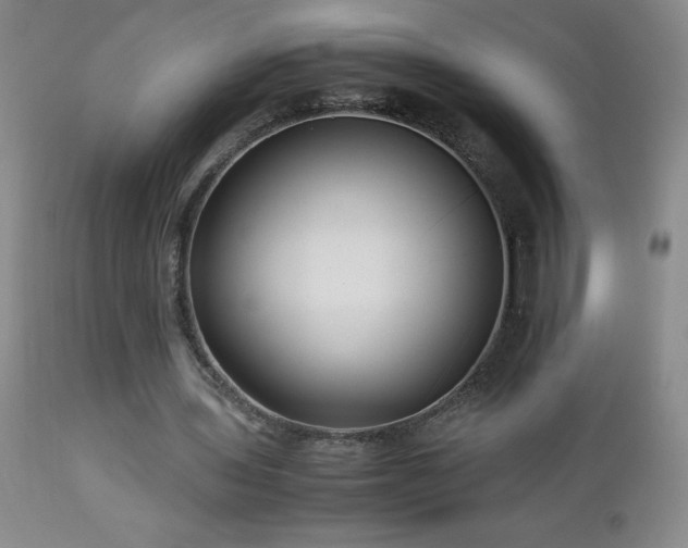 X0000113040435200908271509