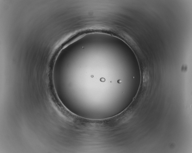 X0000113040436200908271509