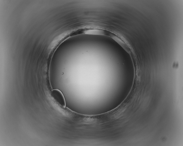 X0000113040437200908271509