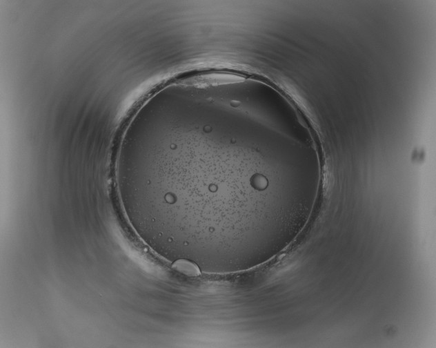 X0000113040438200908271509
