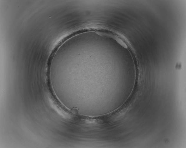 X0000113040439200908271509