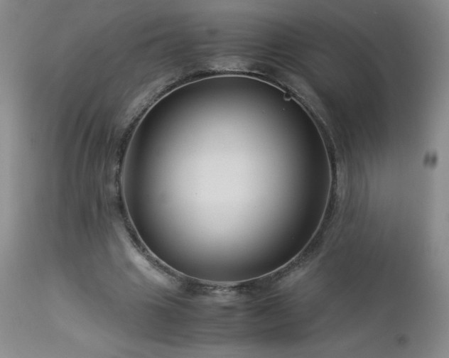 X0000113040441200908271509