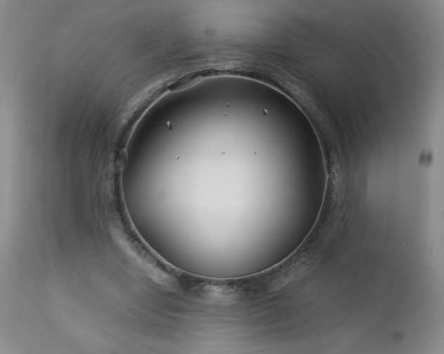 X0000113040442200908271509
