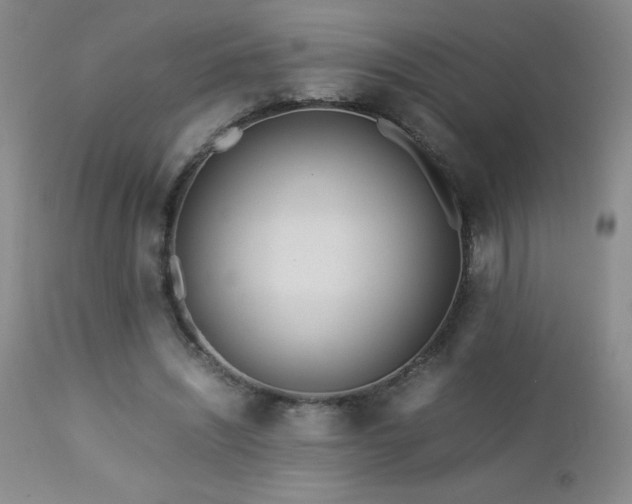 X0000113040444200908271509