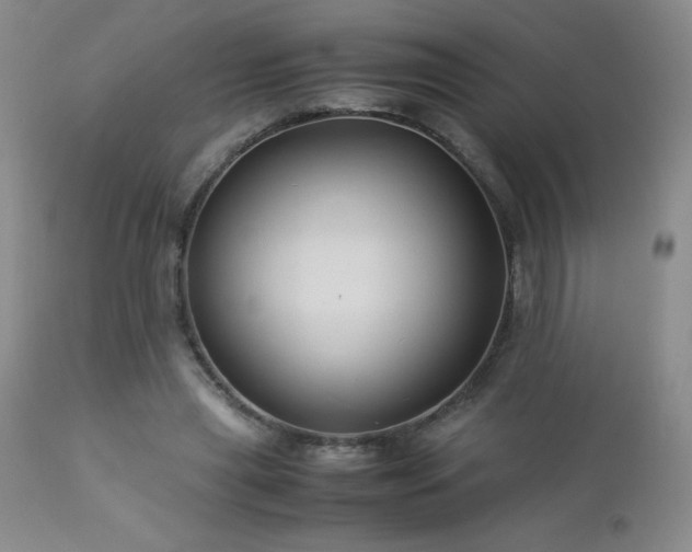 X0000113040445200908271509