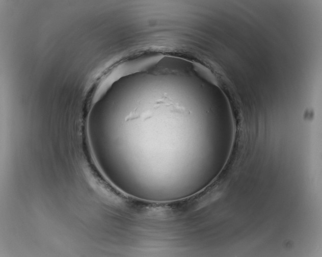 X0000113040446200908271510