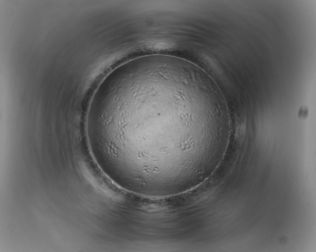 X0000113040447200908271510