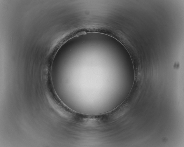 X0000113040448200908271510