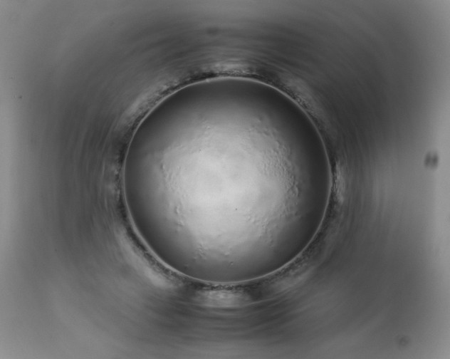 X0000113040449200908271510