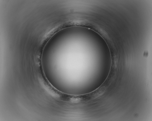 X0000113040450200908271510