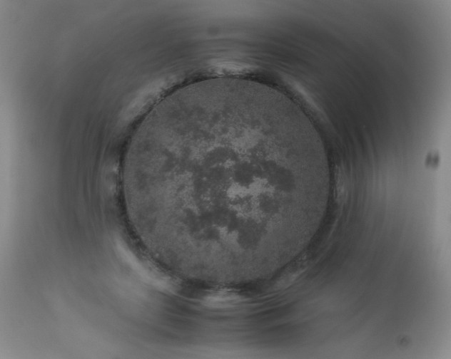 X0000113040451200908271510
