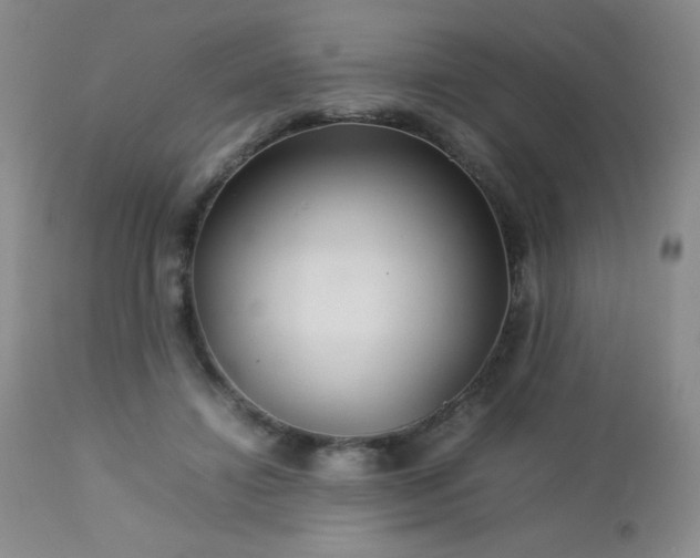 X0000113040452200908271510