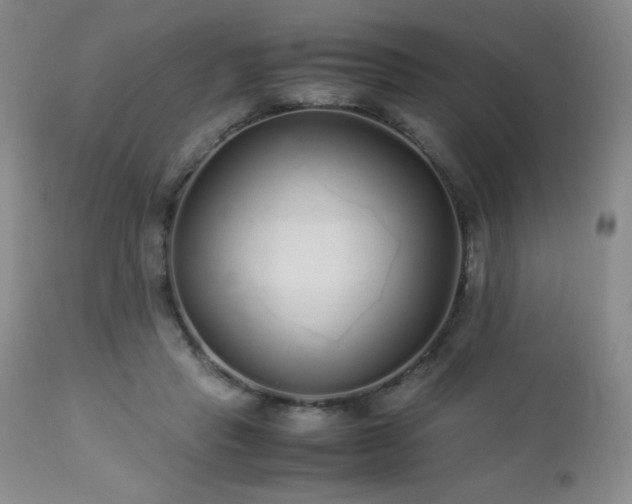 X0000113040453200908271510