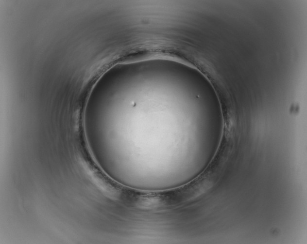 X0000113040454200908271510