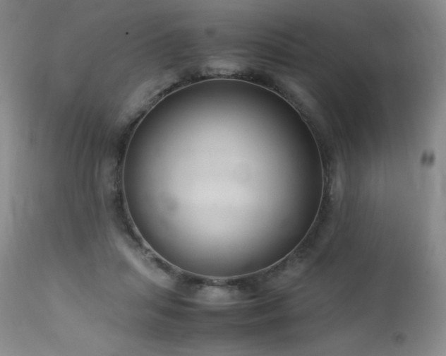 X0000113040455200908271510