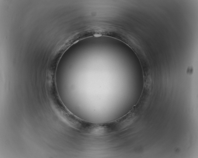 X0000113040456200908271510