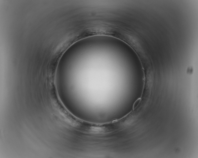 X0000113040457200908271510