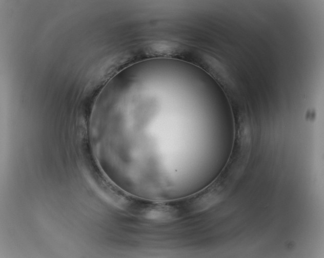 X0000113040459200908271510