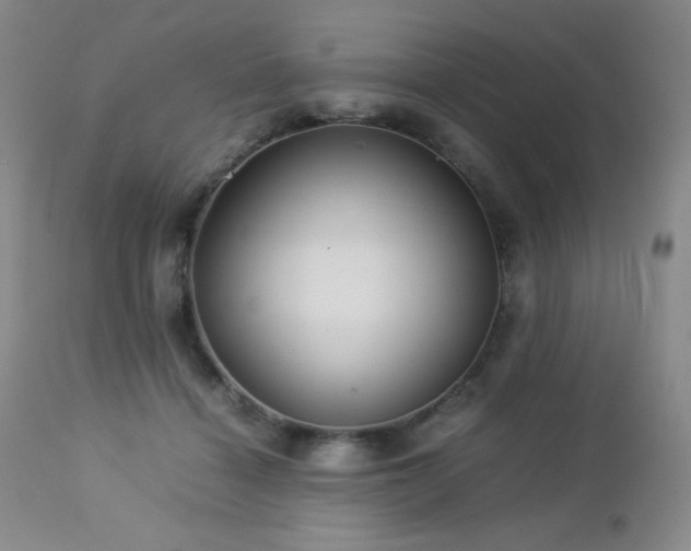 X0000113040460200908271510