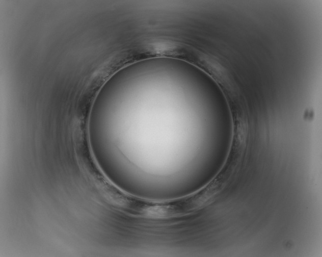 X0000113040461200908271510