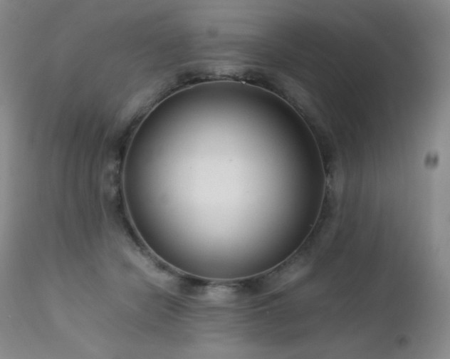 X0000113040462200908271510