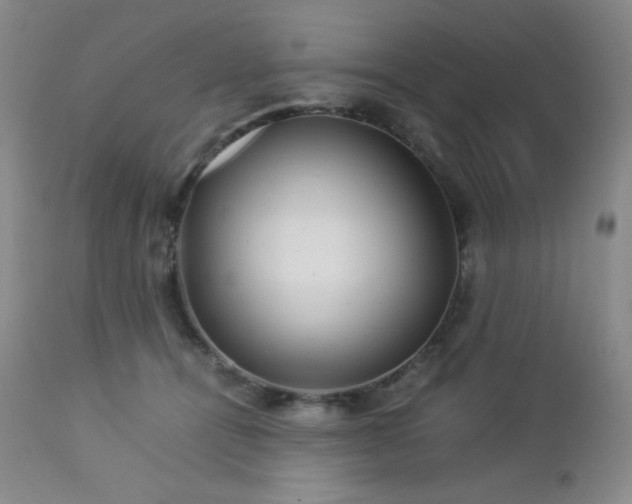 X0000113040464200908271510